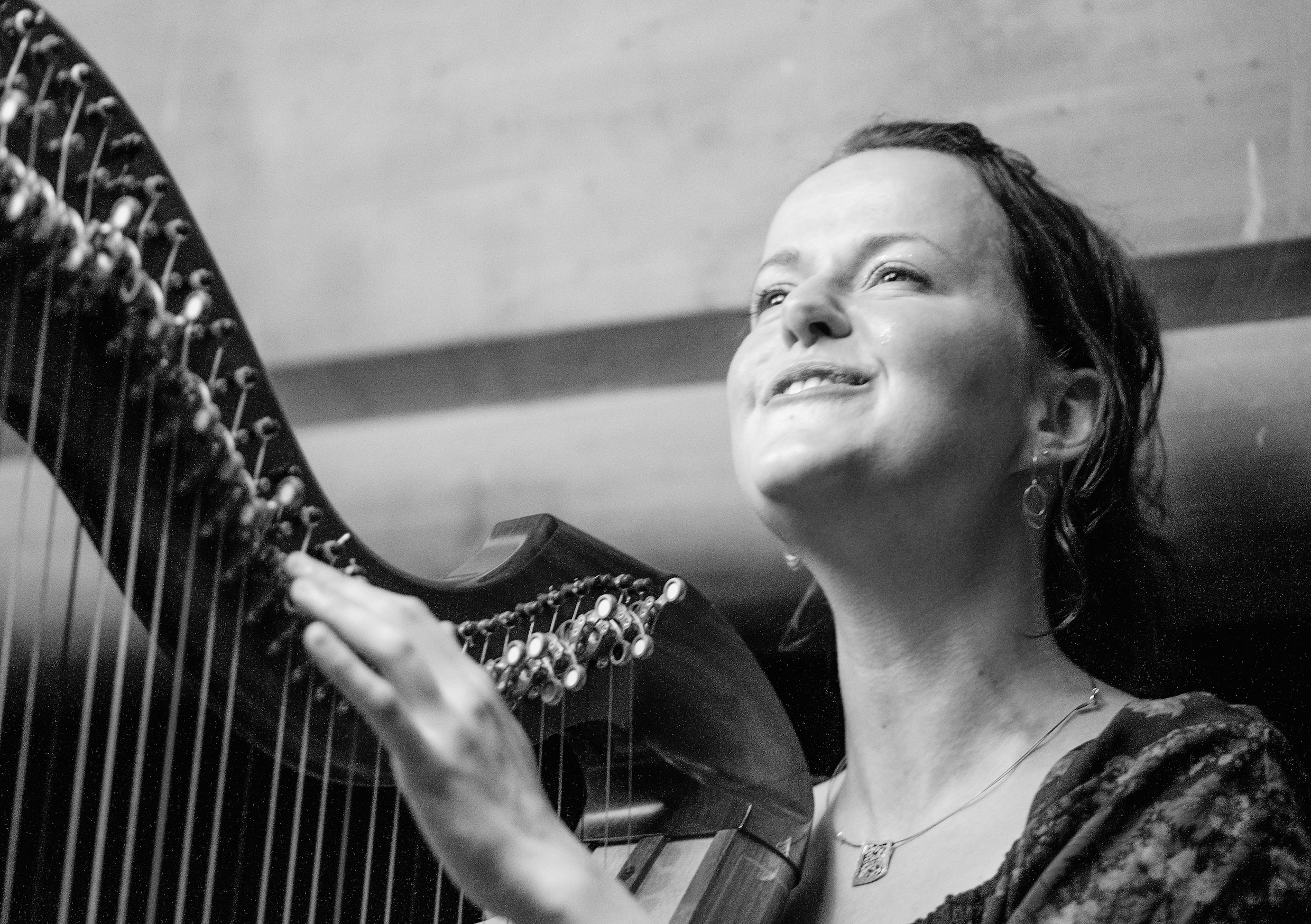 Harpist Gillian Fleetwood will perform at this year's festival.
