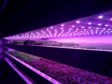 The vertical farm on the JHI campus has been a successful collaboration.