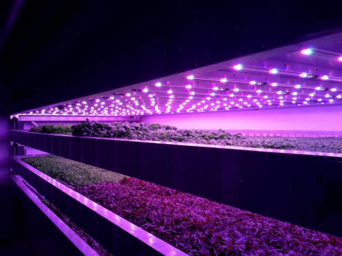 The vertical farm on the JHI campus has been a successful collaboration.