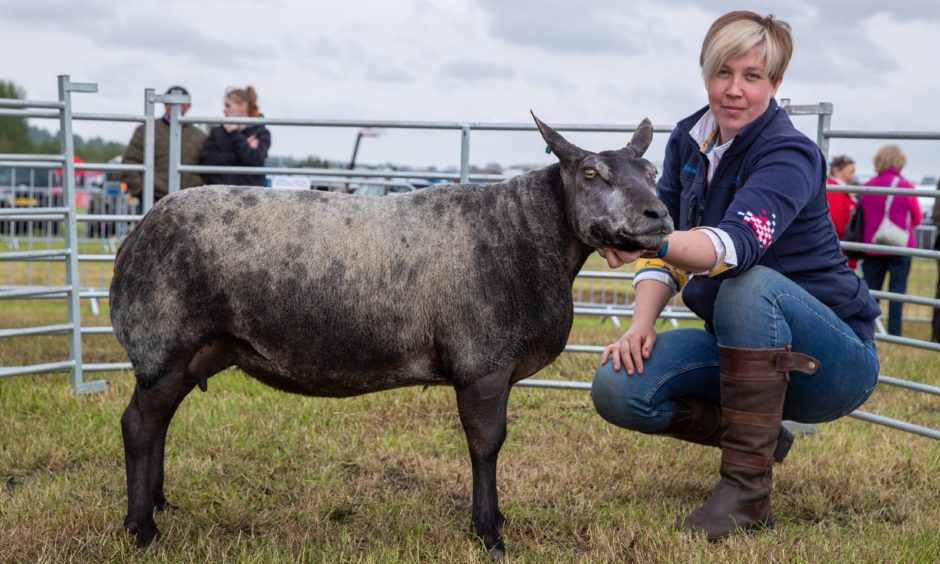 Emma Lyle with her overall Champion sheep a Blue Texel.
