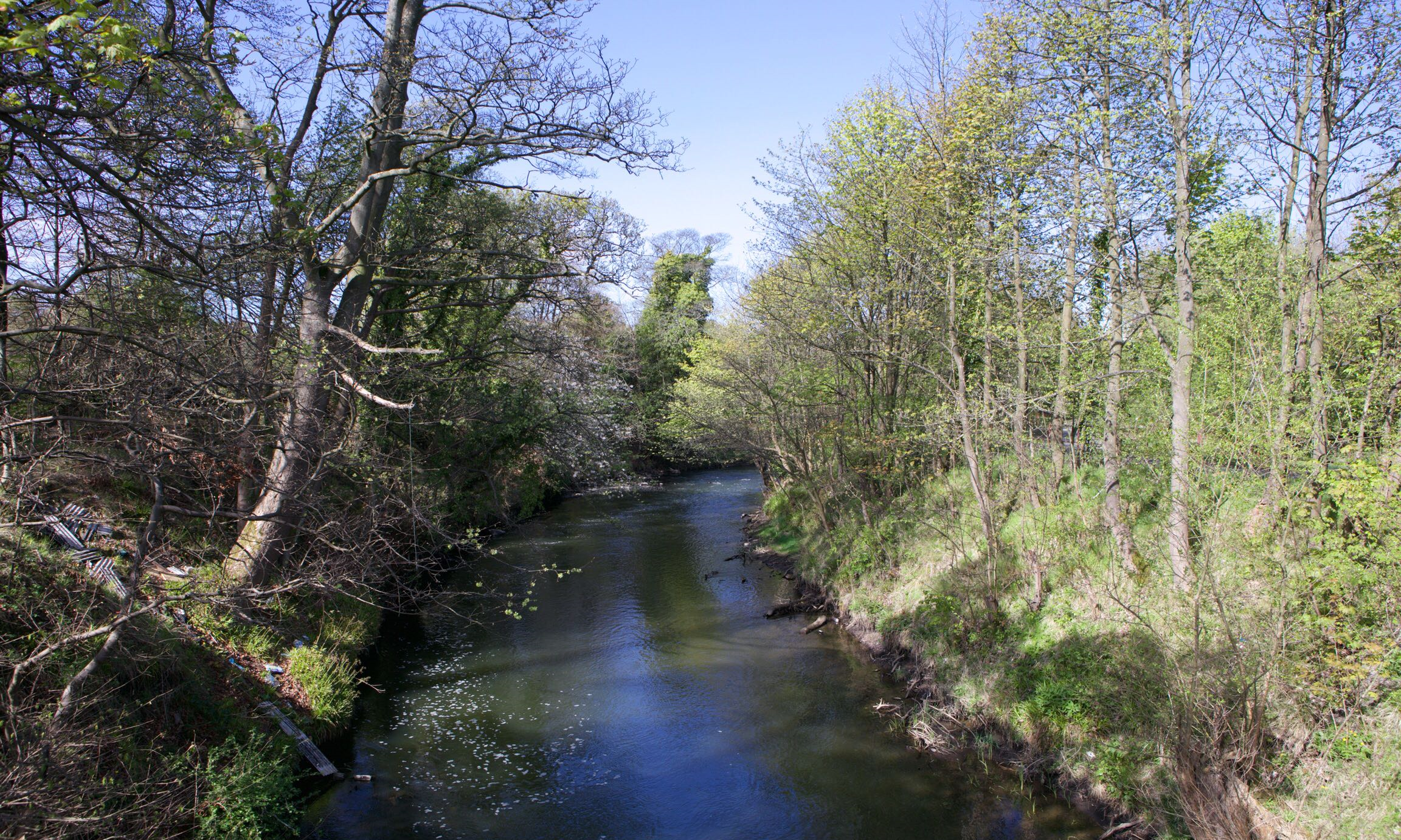 The river Leven