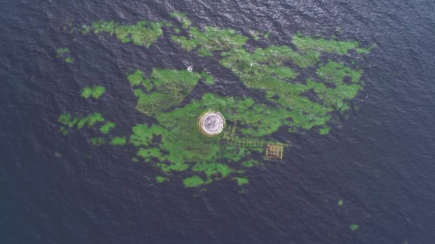 Arbroath drone pilot David Brown captured the seagull's eye view of the Bell Rock lighthouse,