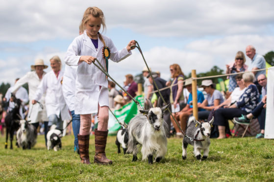 Some of the smallest animals  were among the stars of the show.