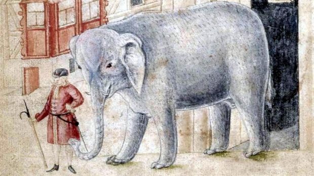 A drawing of the elephant at the time it was paraded for entertainment.