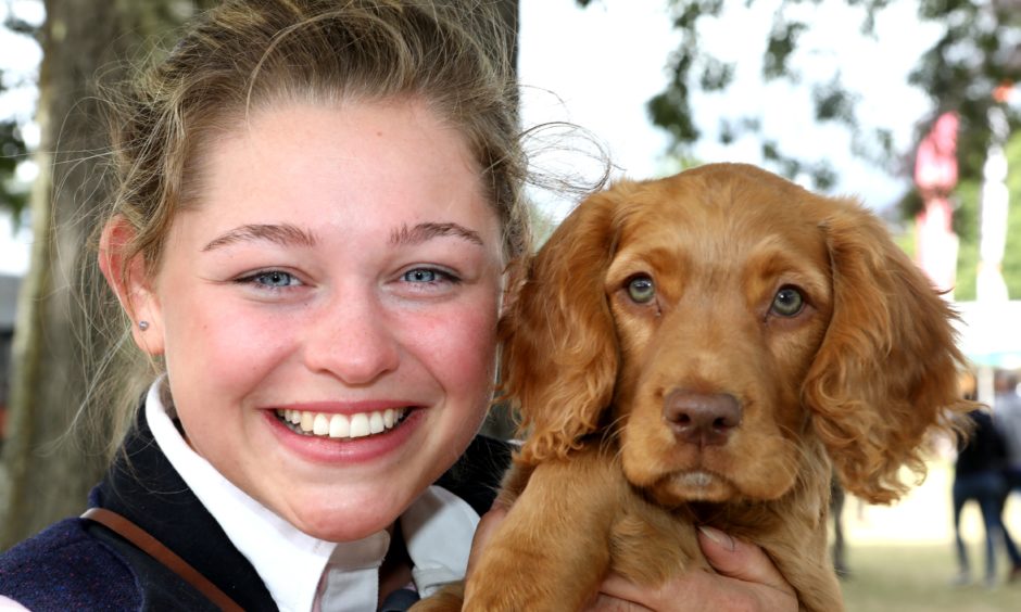 Holly Busby (19)  with a 12 week old working cocker called "Koda".