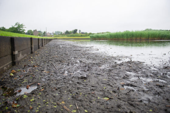 The mudflats that are appearing at Curlie Ponds in Montrose.