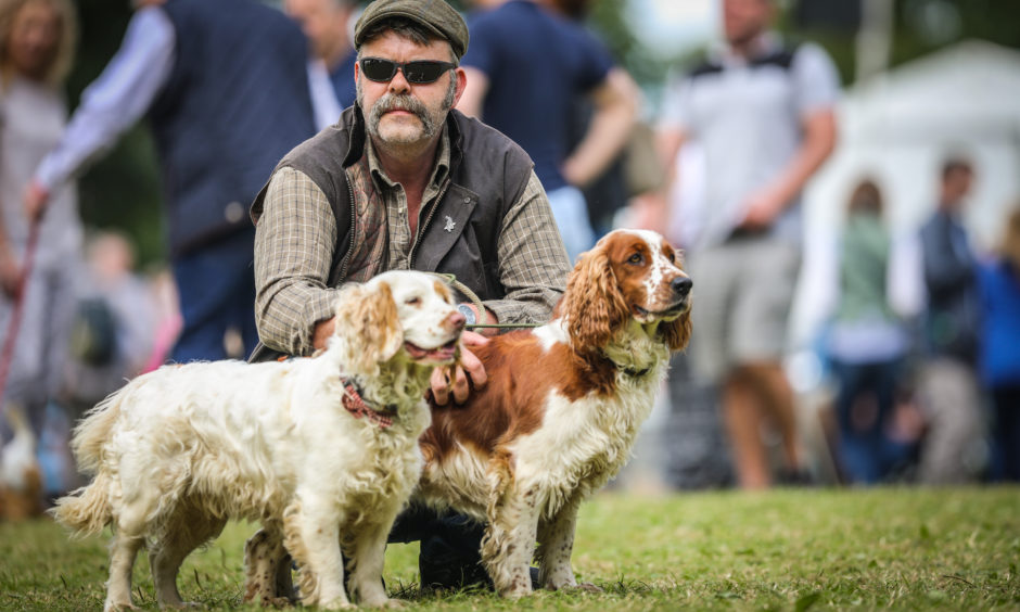 George Steele with his dogs, Spurtle and Stourie at the Scottish Game Fair at Scone Palace.