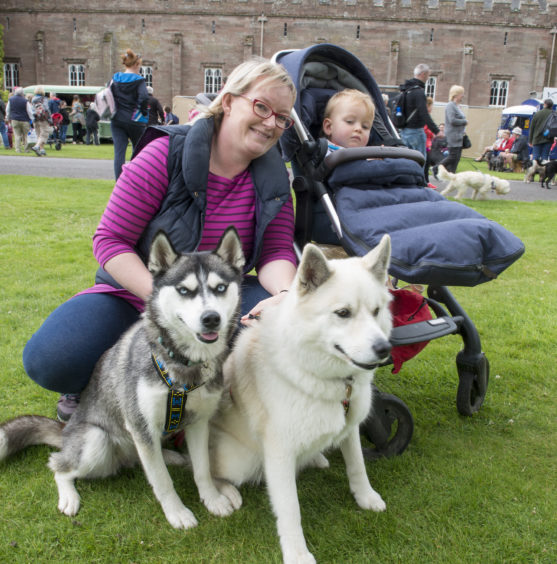 Julia Onions with her son Max (1) and her two pomsky dogs Nova and Thor.