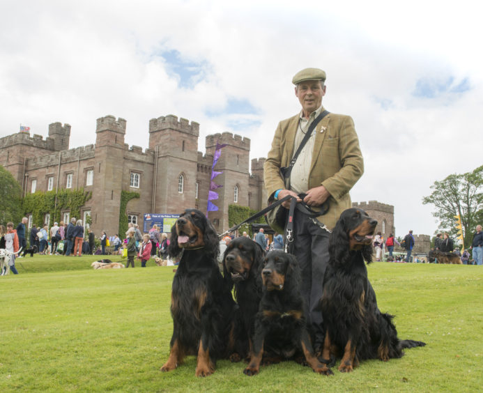 Hamish Miller pictured with his Gordon setters, Wickham, Darcey, Lucas and Bingley.