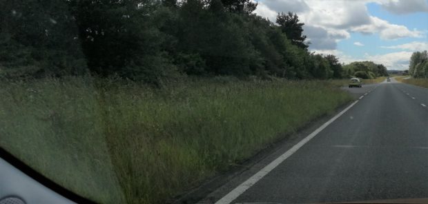 Grass left to grow at the side of the road.