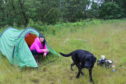 Gayle and her faithful hound found a nice spot for wild camping in Glen Dye.