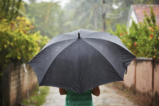 A woman with a black umbrella in heavy rain.