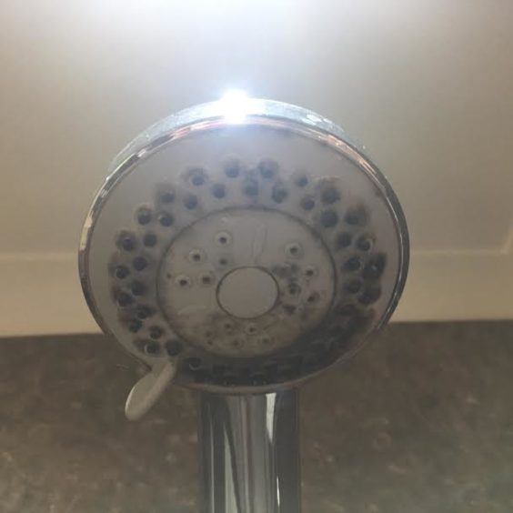 Cleaners attempted to clean the shower heads