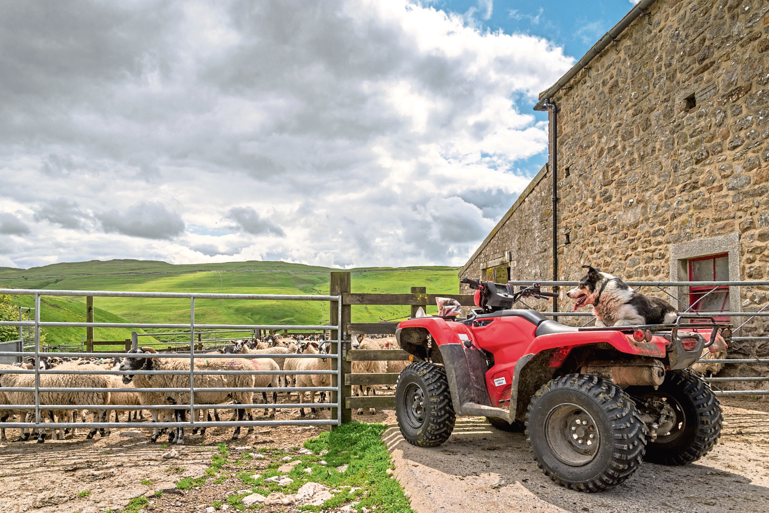 Farm quads are a popular target for thieves.
