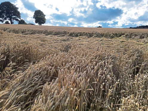 Farmers are concerned about the workload ahead of them.