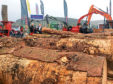 Forestry Expo was designed to appeal to farmers as well as foresters.