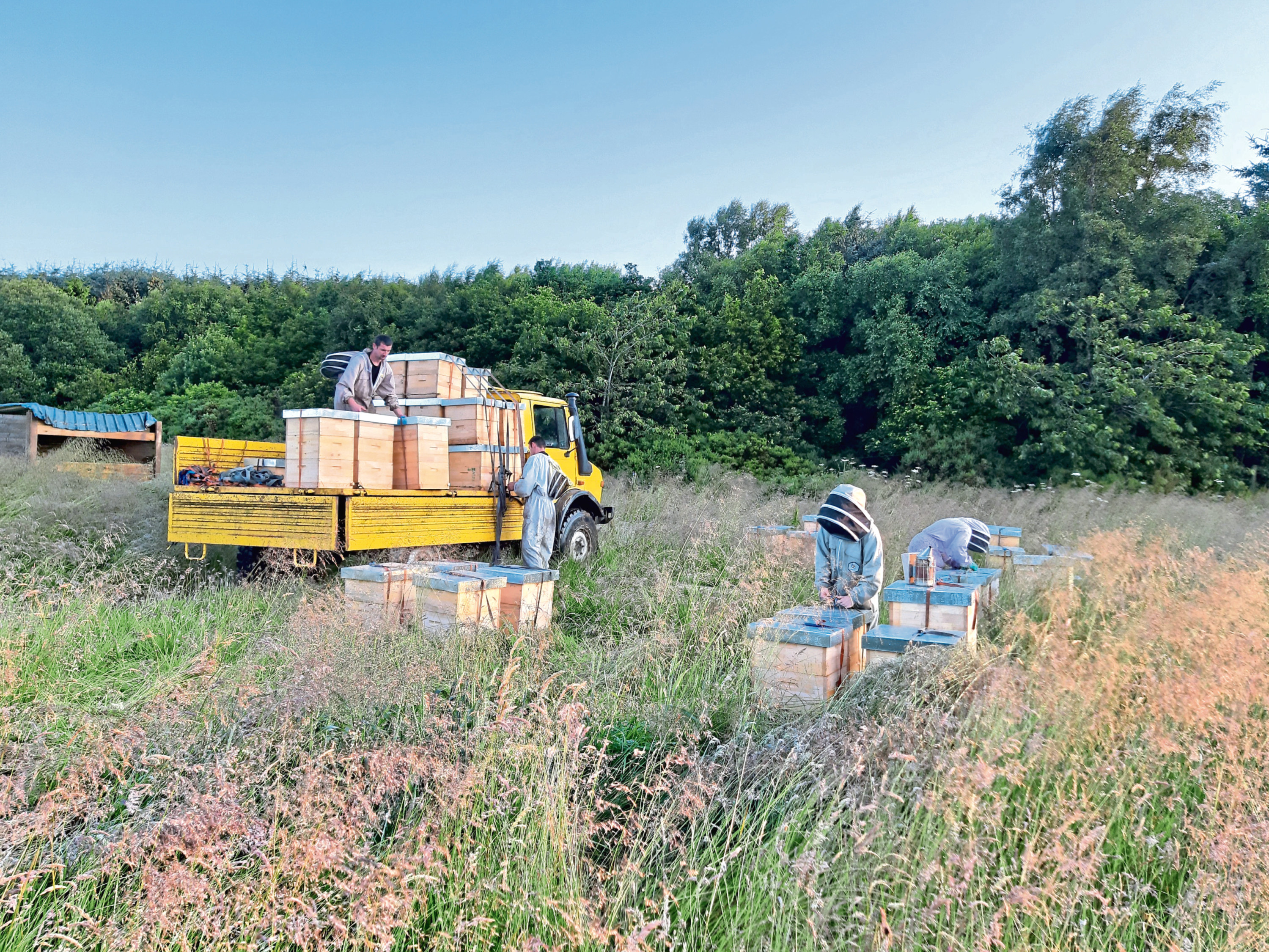 Hives are loaded on to the Unimogs to be transported to the heather harvest.