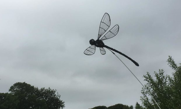 The damselfly statue in Keptie Pond.