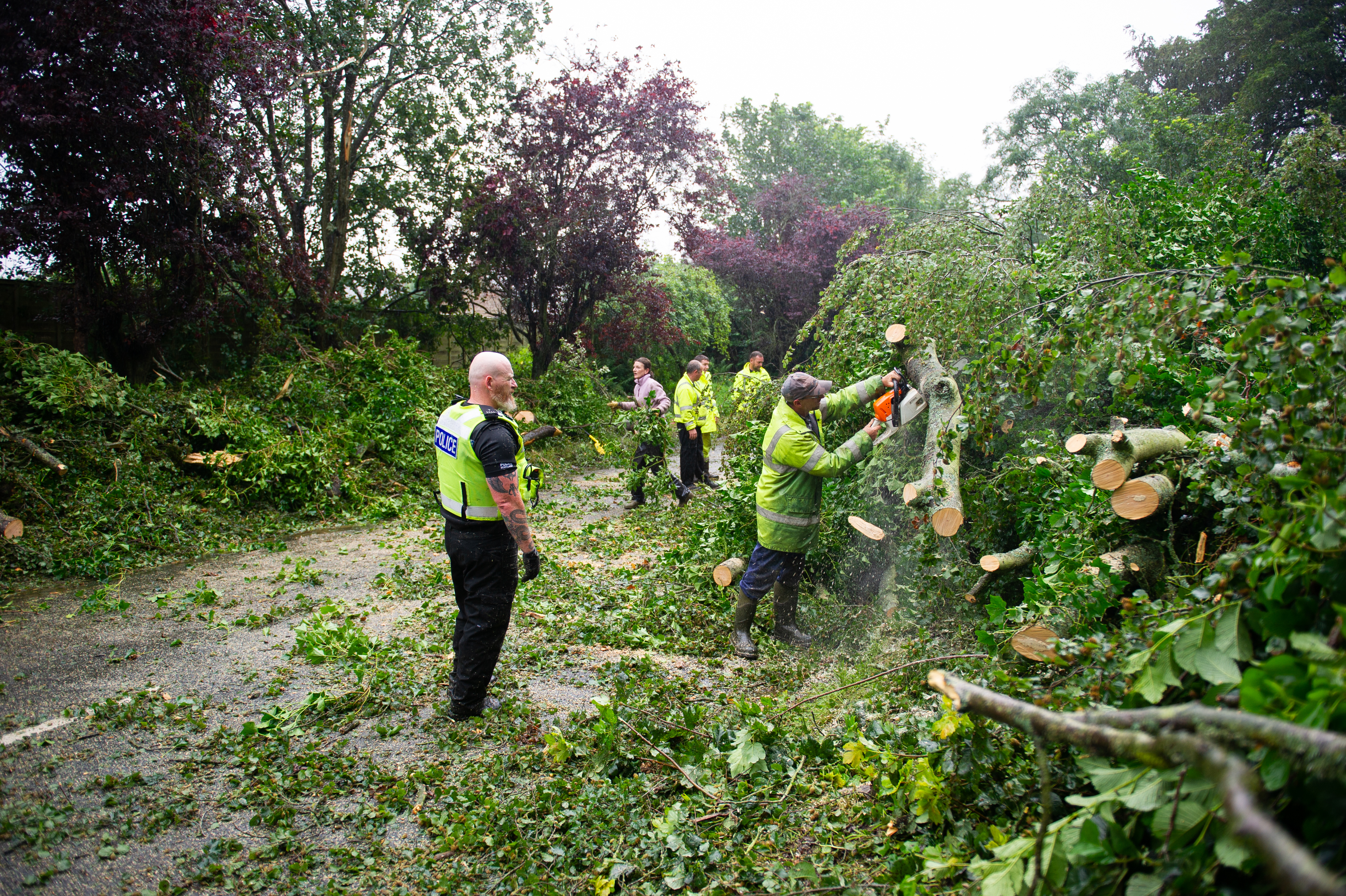The clear-up operation in full swing following the tree which fell across the A932 near Pitmuies Gardens.