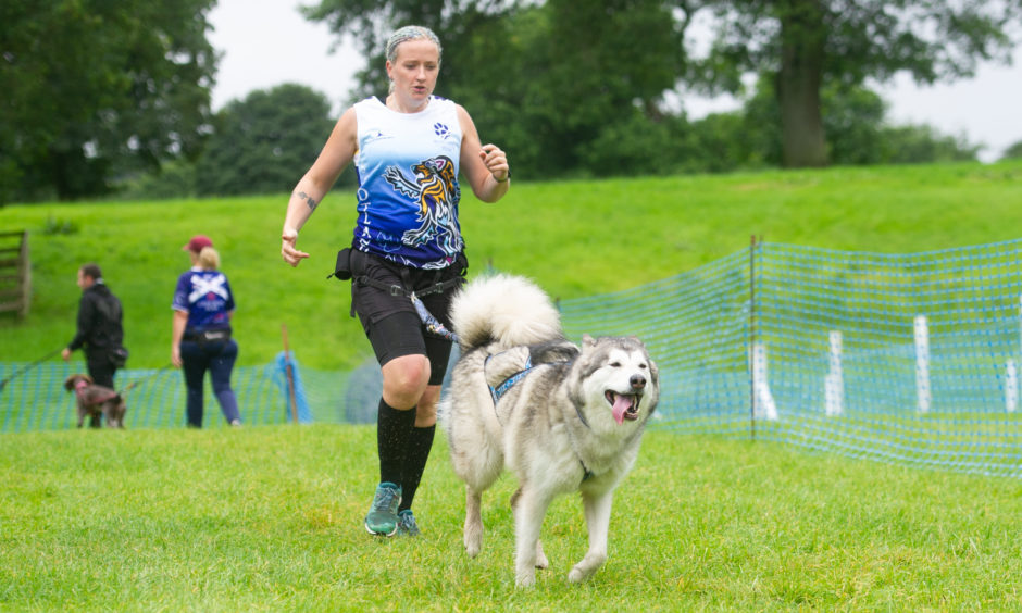 Cani-X demonstrated how you can combine jogging and excercising your dog - Laura Fennell with 'Maya'.