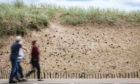 Vandals have uprooted marram grass planted to stabalise sand dunes in Broughty Ferry.