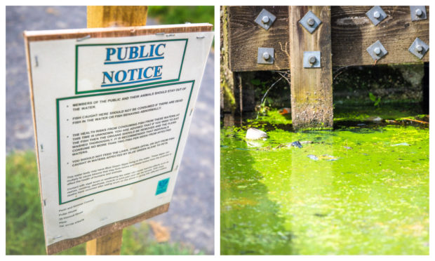 Loch Leven suffered the problem in summer 2019