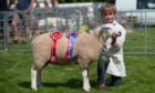 The annual Perth Show, held at the South Inch, was as well attended as ever.