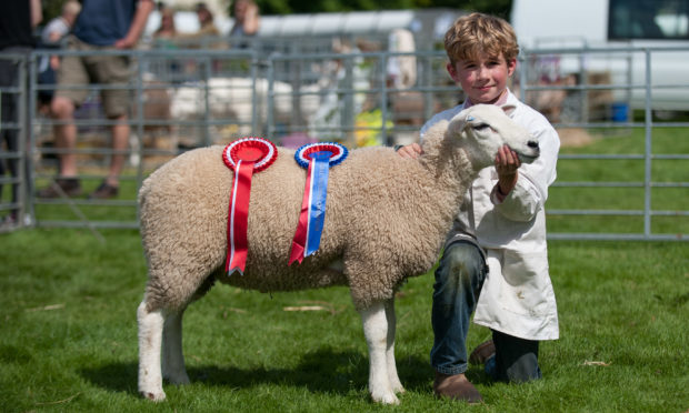 The annual Perth Show, held at the South Inch, was as well attended as ever.