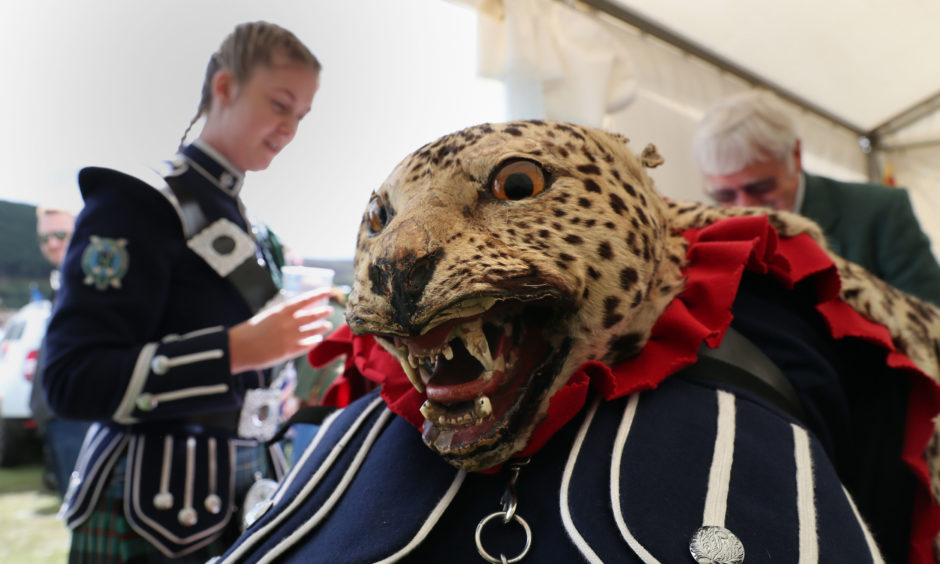 A band member from the Ballater and District pipe band wears a leopard skin base drum apron. The Prince of Wales, known as the Duke of Rothesay while in Scotland, is attending the Ballater Highland Games in Monaltrie Park.