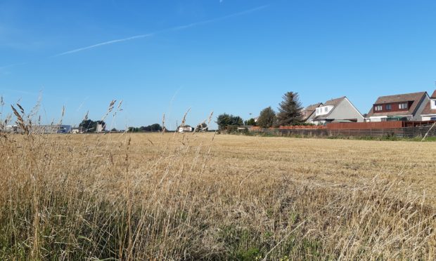 The field in Methil where the man's body was found.