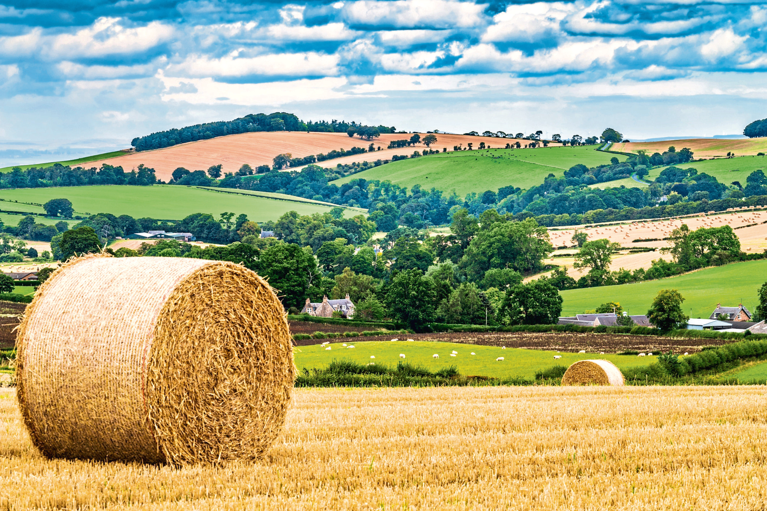 The Bew Review has set out its conclusions on how agricultural funding should be allocated.