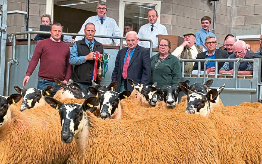 The champion pen at the Stirling sale came from Mark Smyth, Shields.