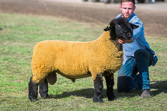 Stewart Lathangie, from Glenrothes, sold the top-priced Suffolk ram at £6,000.