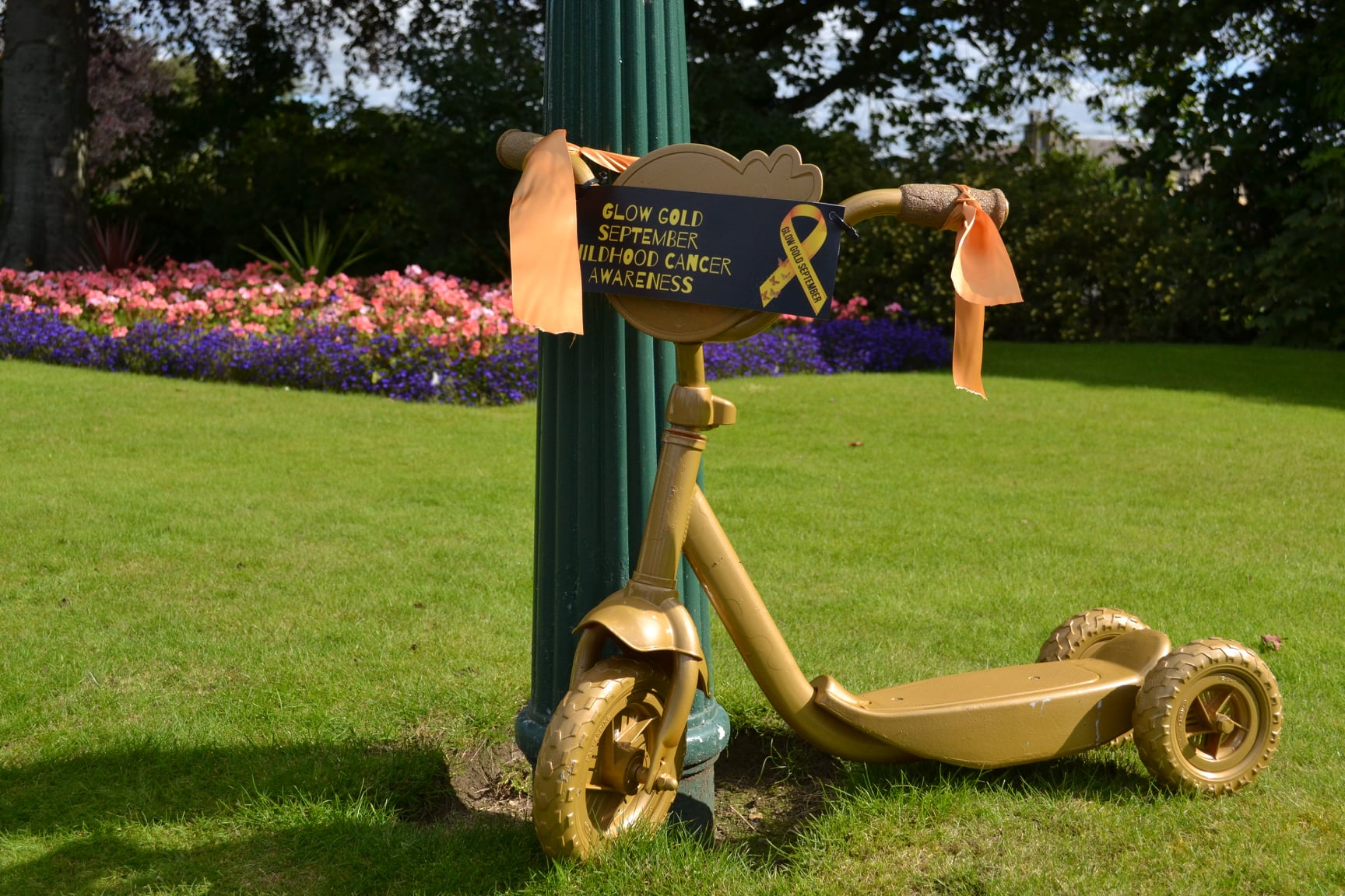A golden scooter was first to be stolen from Beveridge Park.