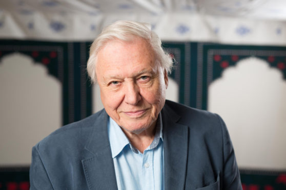 Sir David Attenborough has put his hand in his pocket to help Cowdenbeath