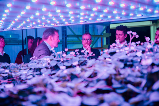 Professor Colin Campbell (chief executive of the James Hutton Institute), hosting a visit by MPs Pete Wishart and Ged Killen earlier this year.