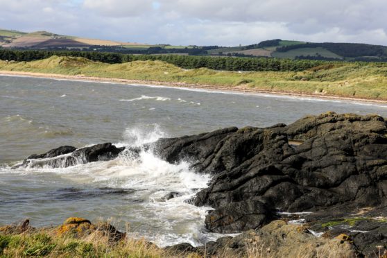 The beach at Shell Bay.