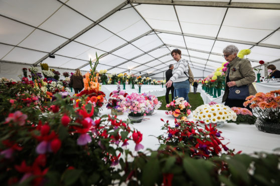 Flowers that have been submitted for judging.