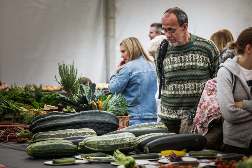 A gentleman sizes up the courgettes in his matching jumper.