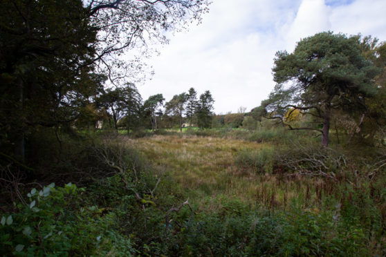 The old curling pond.