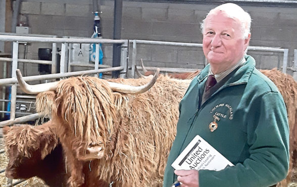 Jim Paice, vice-president of the Highland Cattle Society, says breeders should focus on genetic improvement.