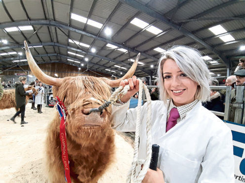 Sarah Noble with the female champion at Oban’s Highland cattle show.