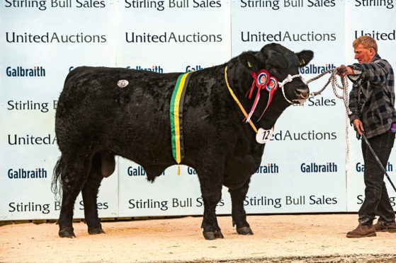 Overall champion in the Aberdeen-Angus contest was Blelack Dakota.