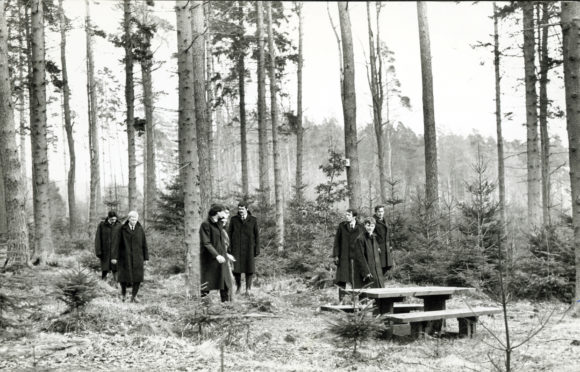 Police search the area where Elizabeth McCabe's body was found in 1980.