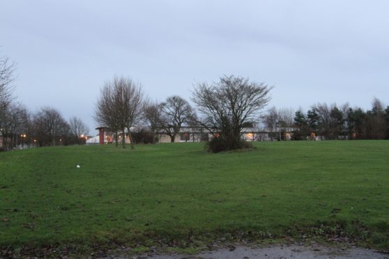 The green space where the homes will be built.