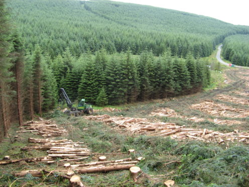 Experts from Scottish Forestry and Euroforest will be on hand to give advice.