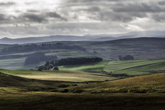 Only half the   farmland on the market in Scotland was available compared to the same period last year.