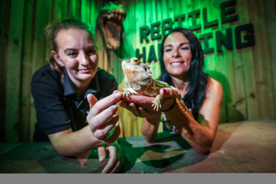 Gayle with reptile expert lover Christie Dewar-Holmes and bearded dragon, Soda.