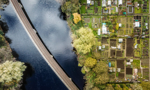 The Moncreiffe Island allotments.