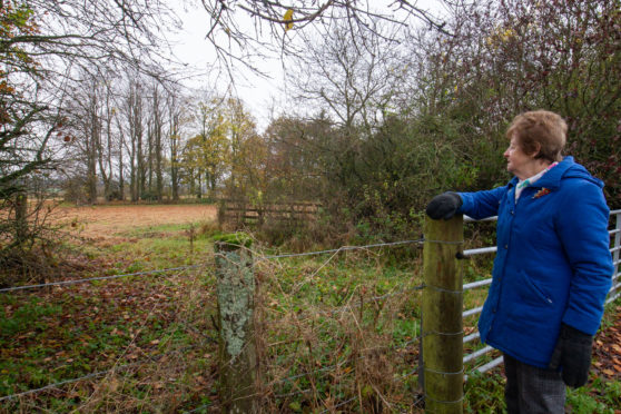 Jean Brymer shows where the cows were buried.